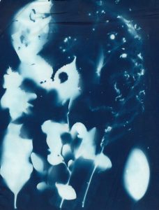 cyanotype