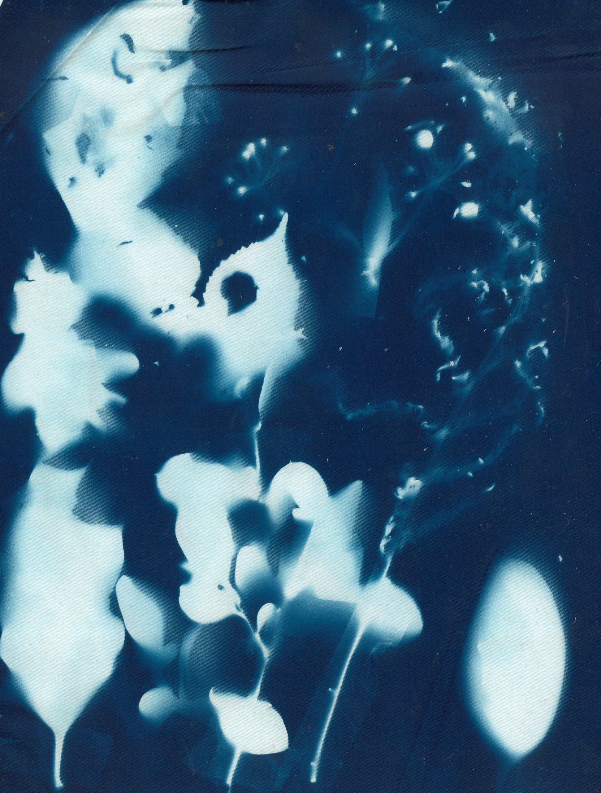 cyanotype